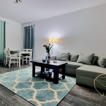 Swan Brasov Apartment エクステリア 写真