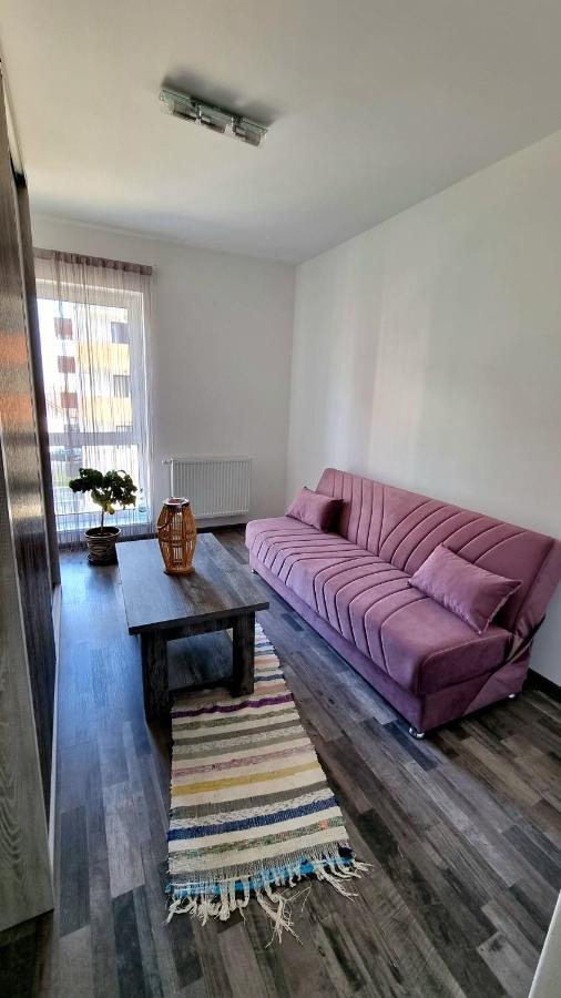 Swan Brasov Apartment エクステリア 写真