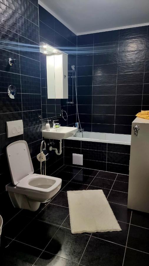 Swan Brasov Apartment エクステリア 写真