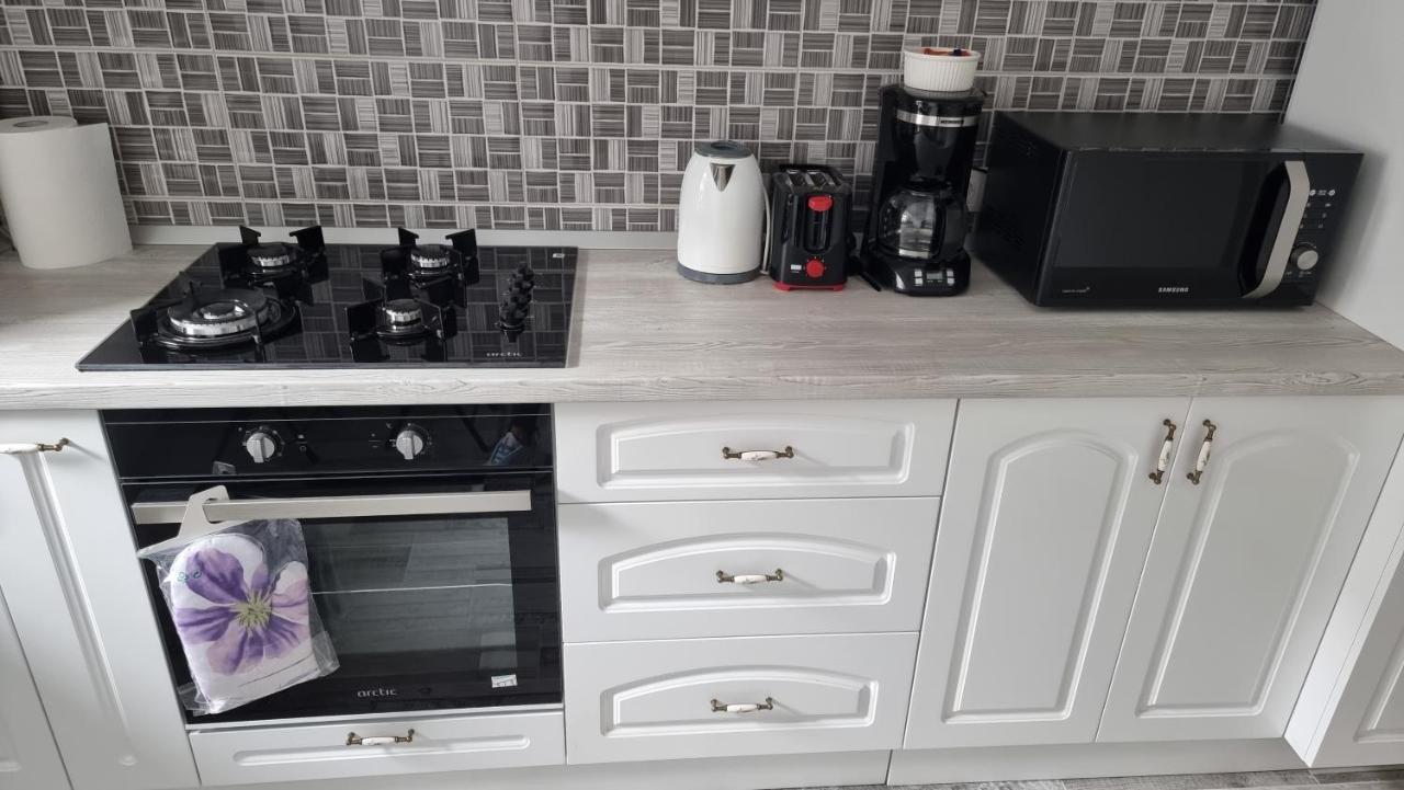 Swan Brasov Apartment エクステリア 写真