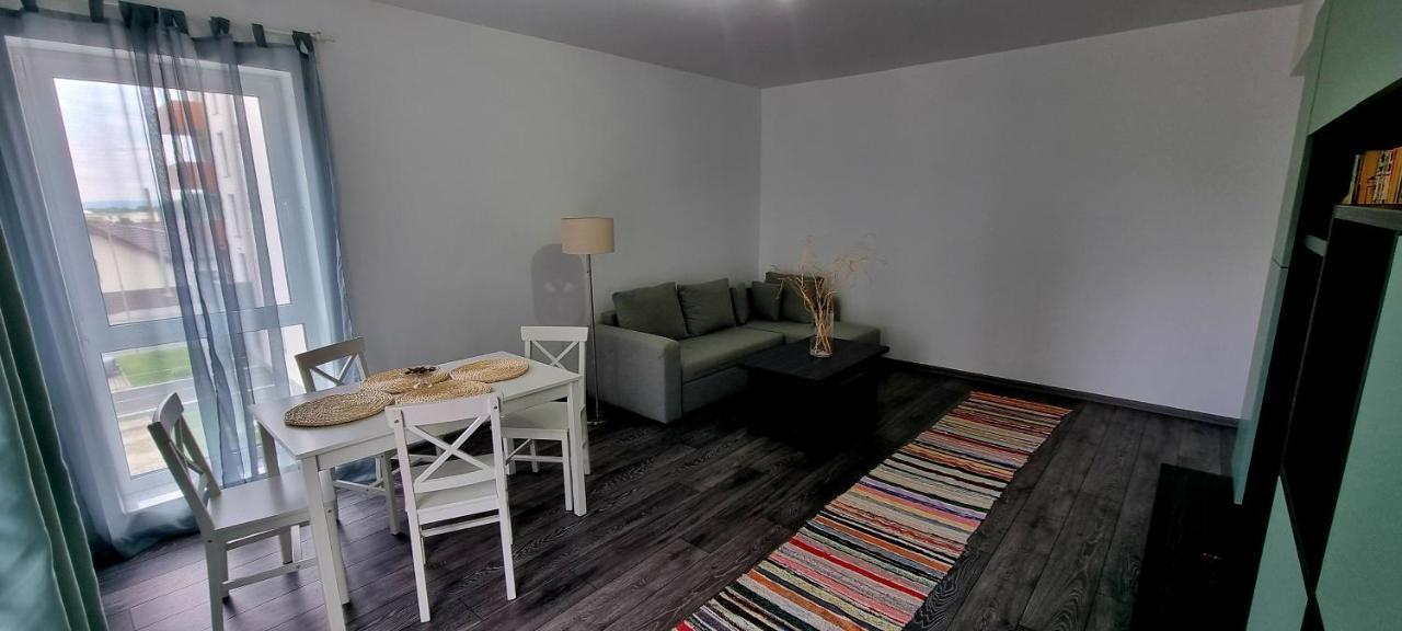 Swan Brasov Apartment エクステリア 写真